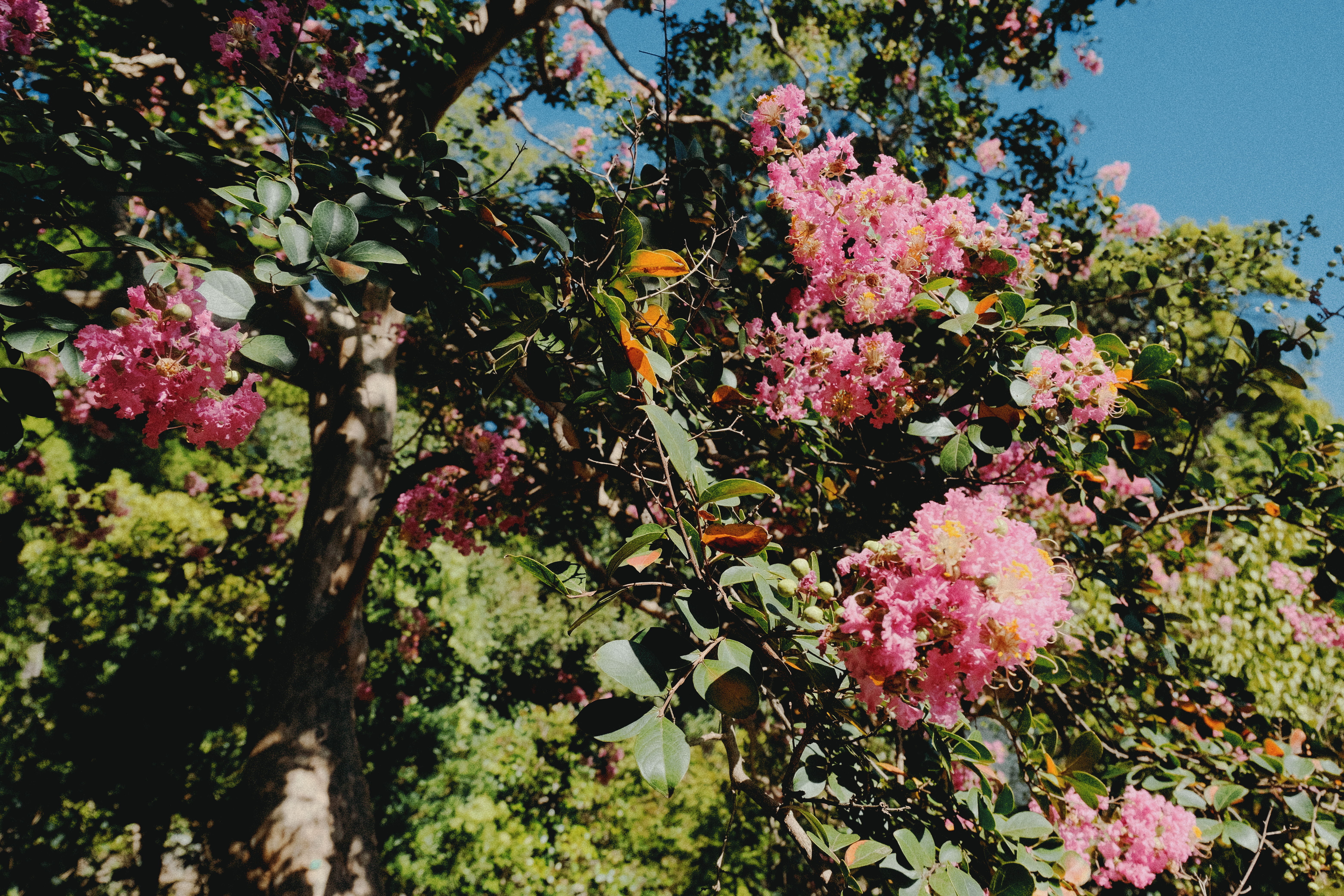 Finding Your Way: Travelling as an Autistic Person