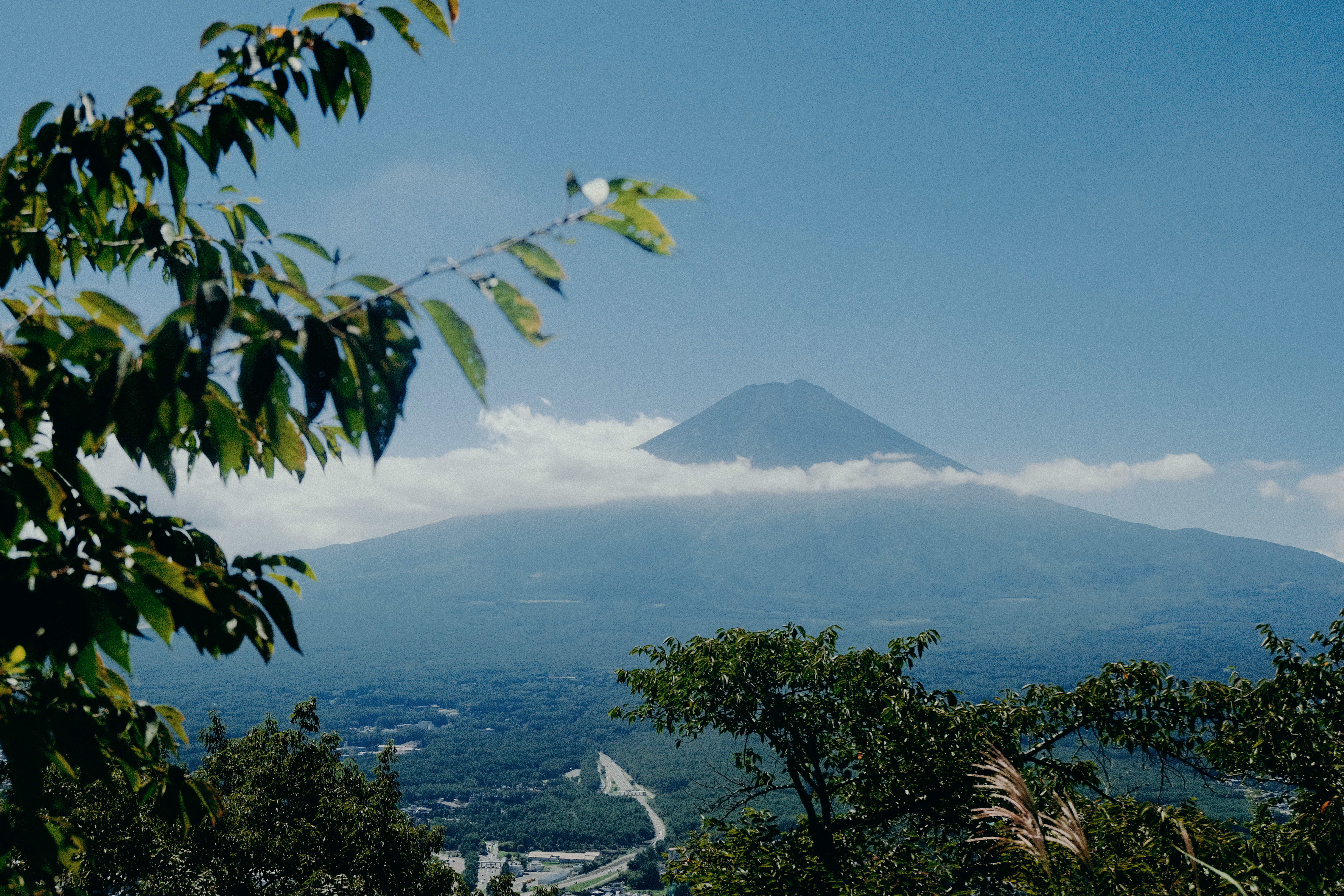 The Ultimate Japan Travel Guide